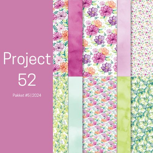 Project 52 – Mei kit  2024 #5