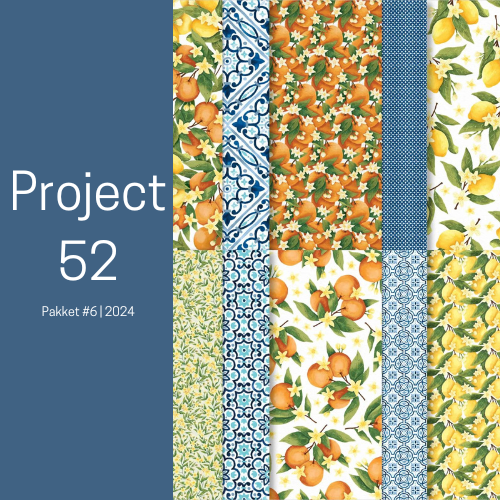 Project 52 – Juni kit  2024 #6