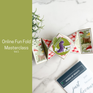 Online Fun Fold Masterclass | Vol.1