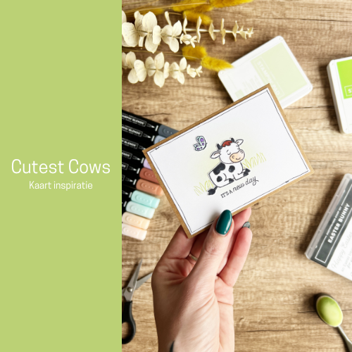Cutest Cows | Kaart inspiratie