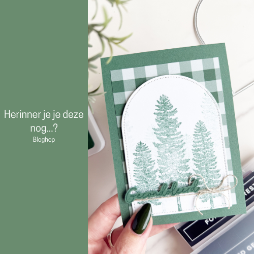 Herinner je je deze nog…? | Forever Forest